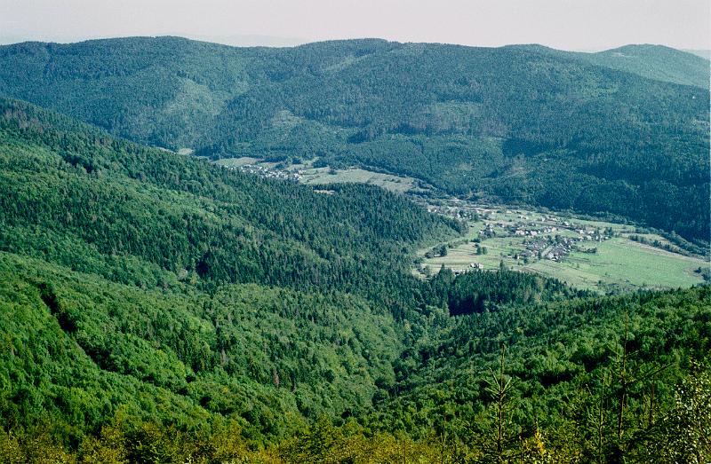 Original image