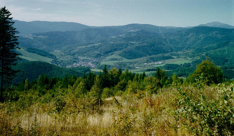 Original image