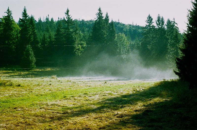 Original image