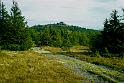 2006_Agfa16