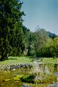 2006_Agfa26