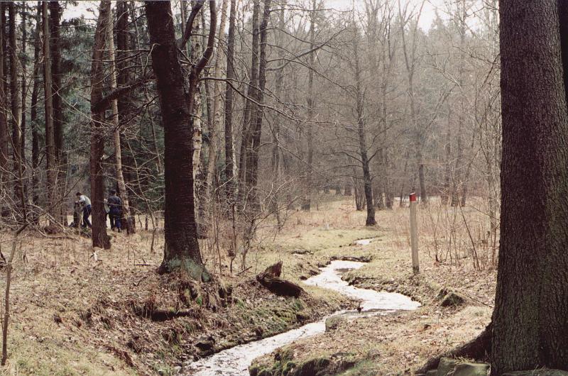Original image