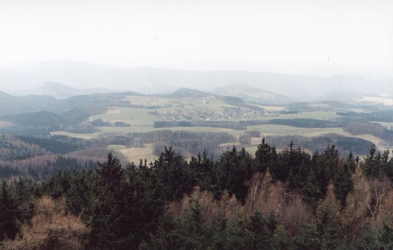 Original image
