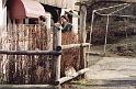 2002-NejsevernejsiCechy11