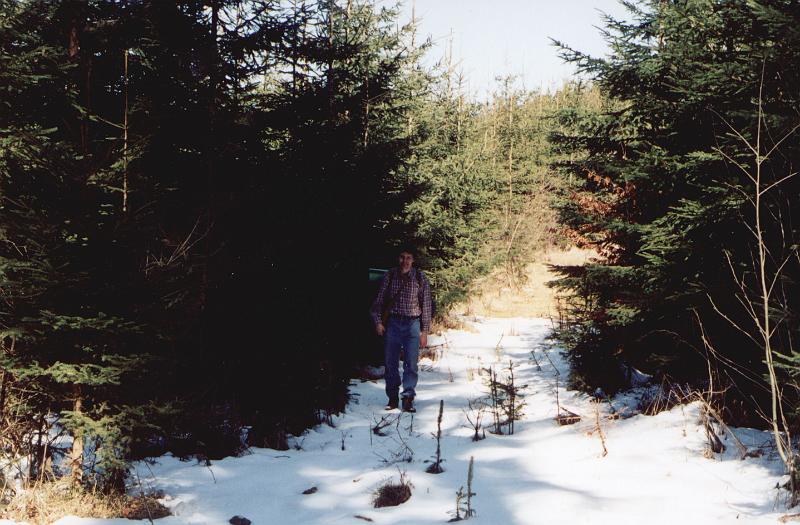 Original image