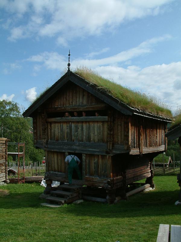 Original image