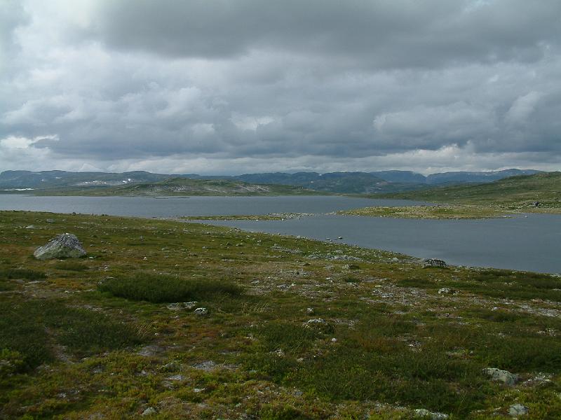 Original image