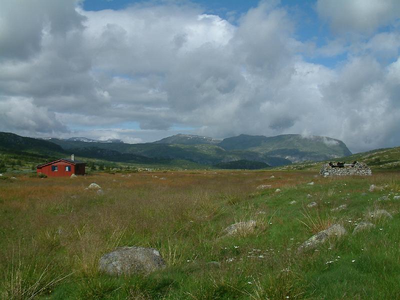 Original image