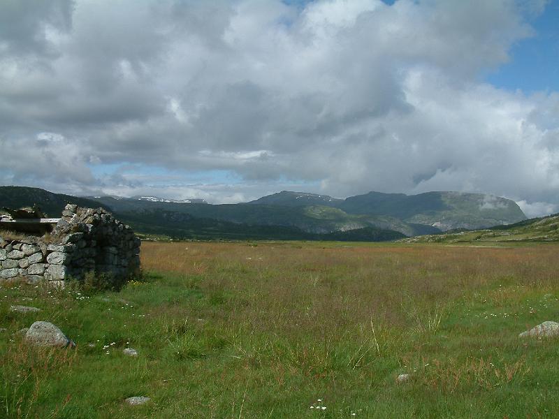 Original image