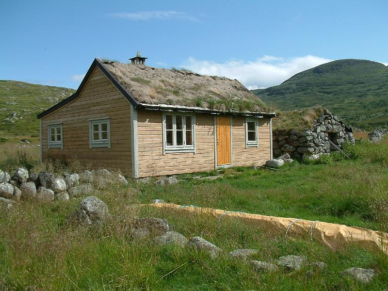 Original image