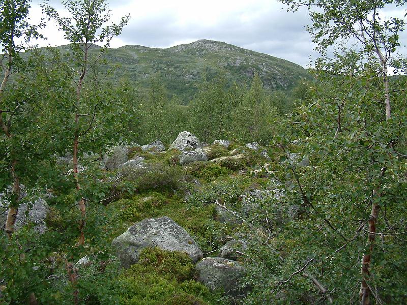 Original image