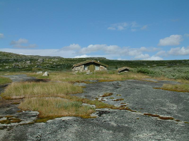 Original image