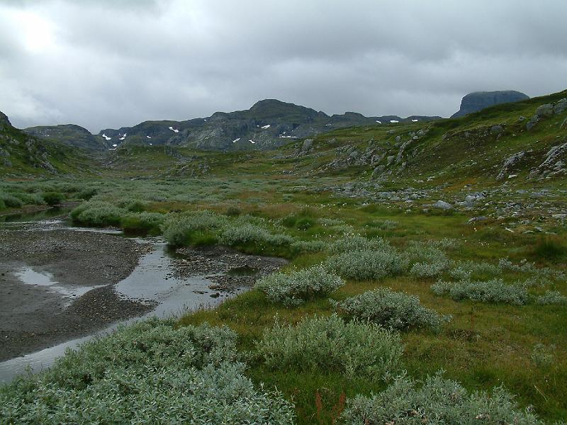 Original image