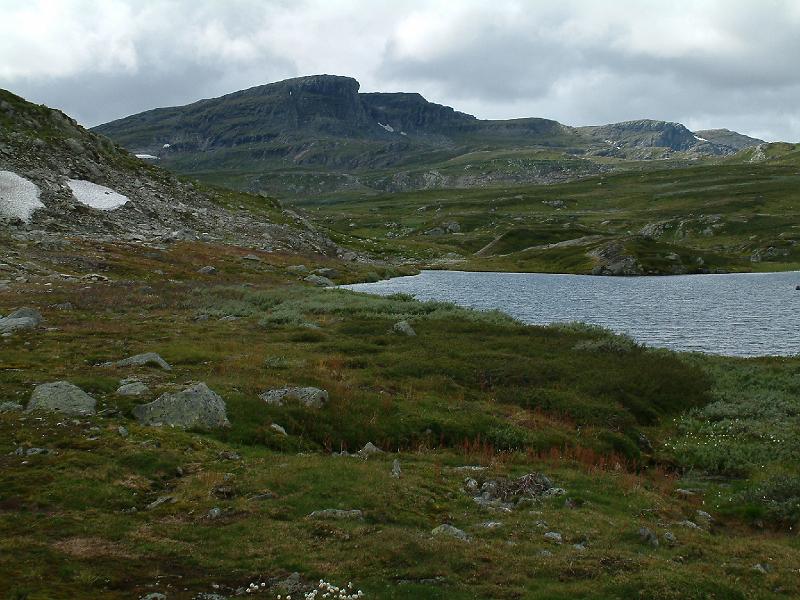 Original image