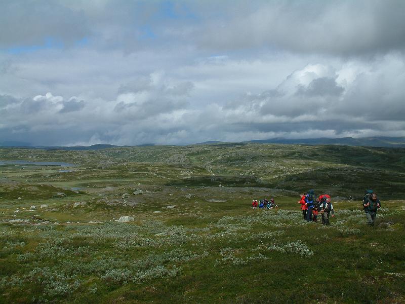 Original image