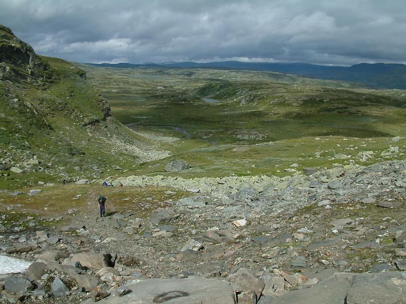 Original image