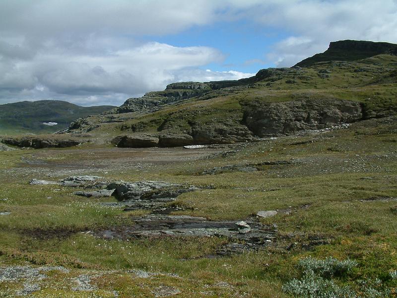 Original image