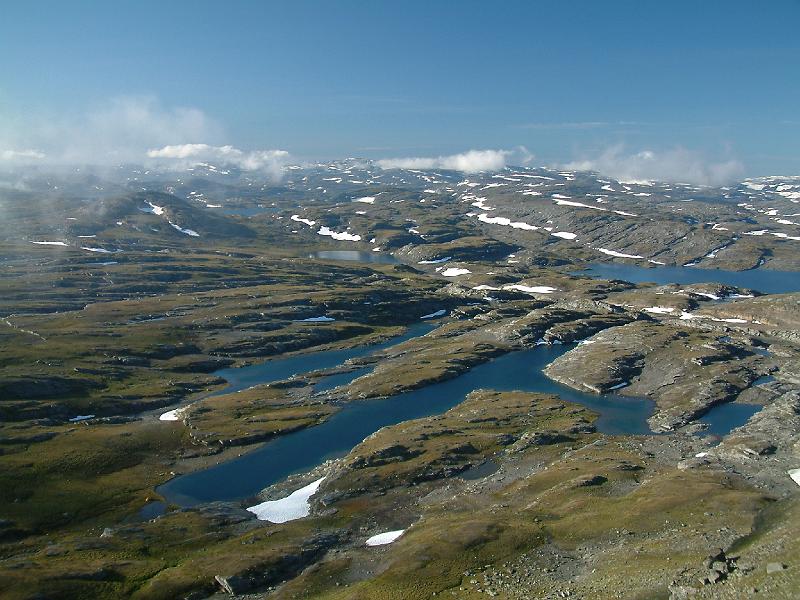 Original image