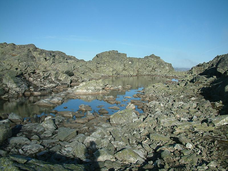 Original image