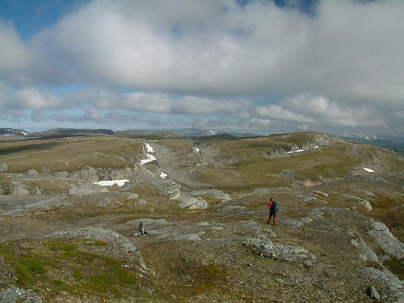 Original image