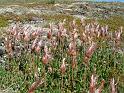1_DSCF0024