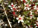 1_DSCF0044