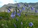 2_DSCF0516