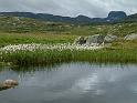 2_DSCF0689
