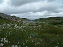 2_DSCF0697