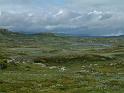 2_DSCF0710