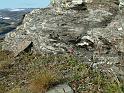 2_DSCF0823