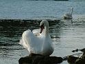 3_DSCF0012