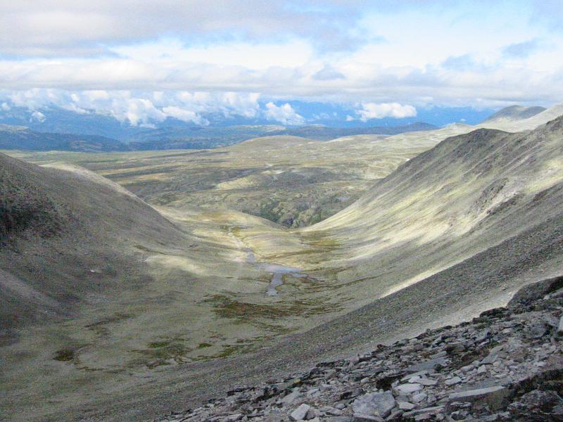 Original image