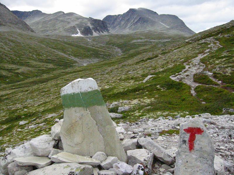 Original image