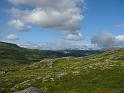 img_0950