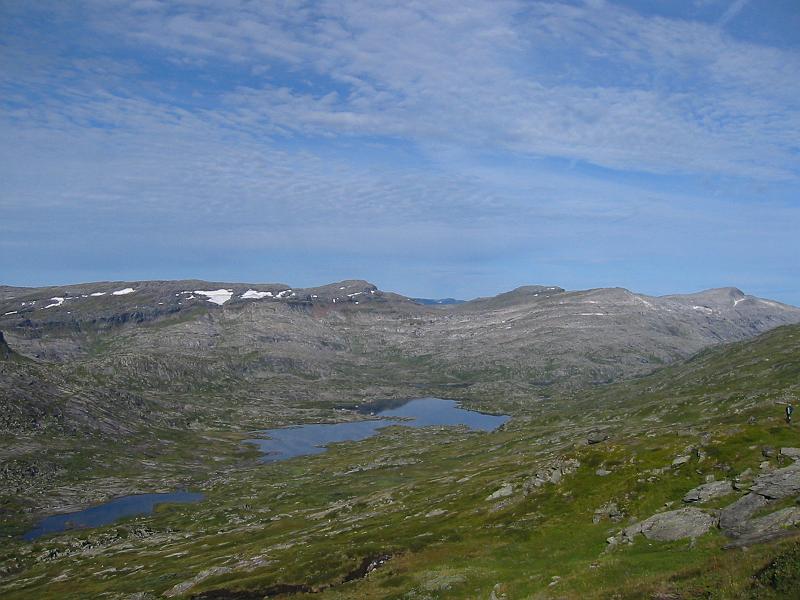 Original image