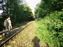 31: PICT0080