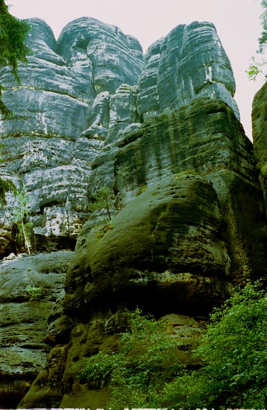 Original image