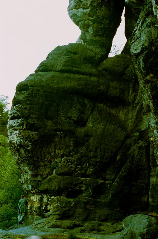 Original image