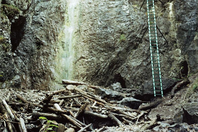 Original image