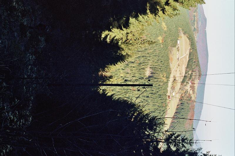 Original image