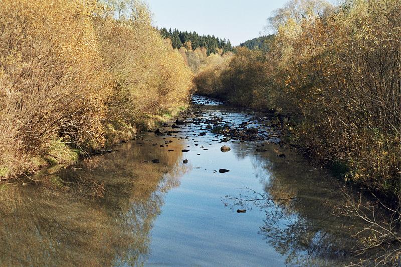 Original image