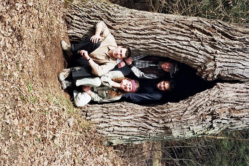 Original image