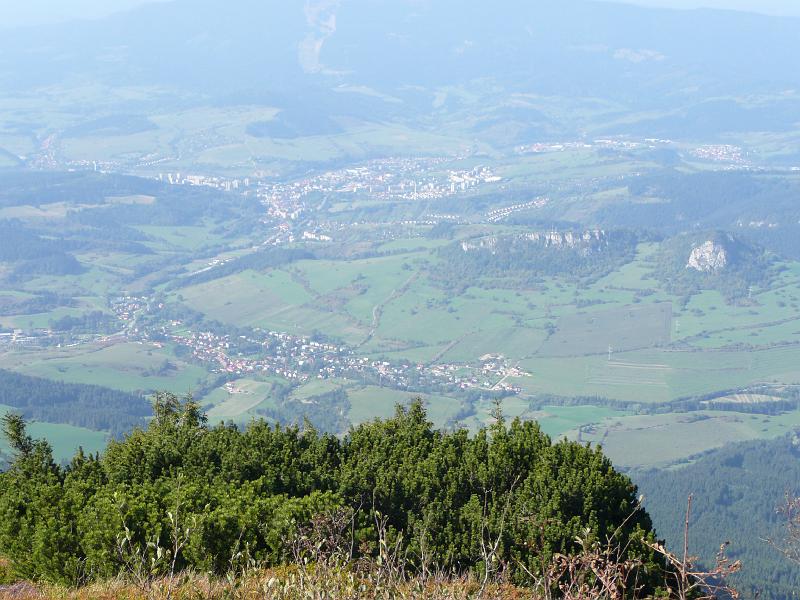 Original image