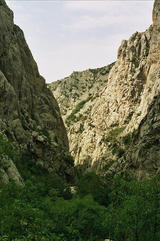 Original image