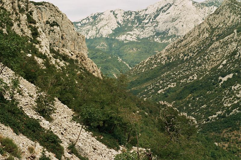 Original image