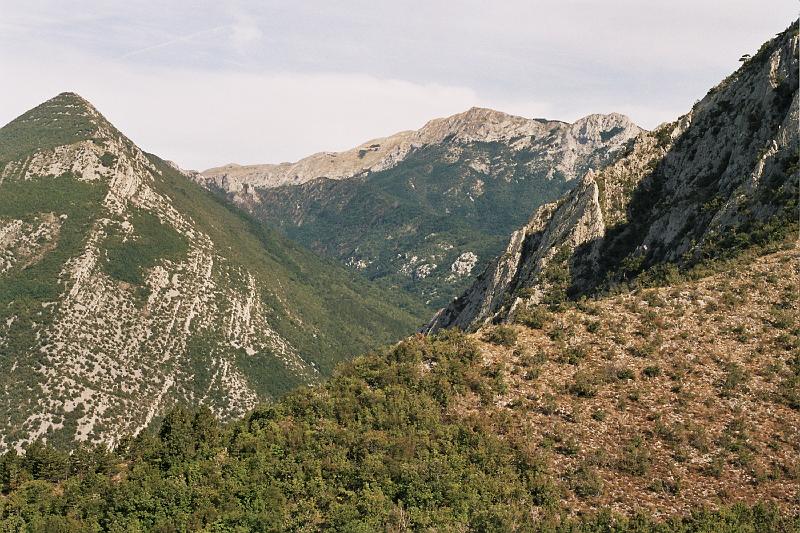 Original image