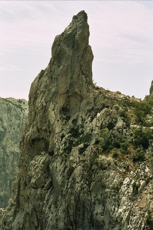 Original image