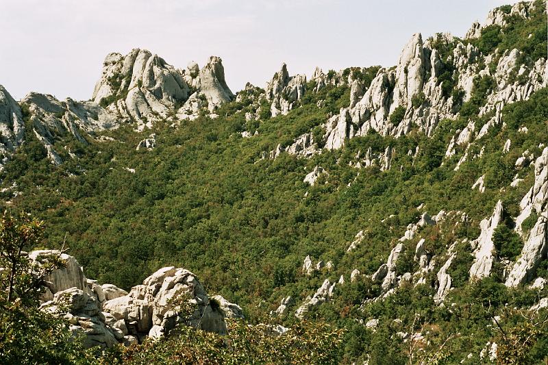 Original image