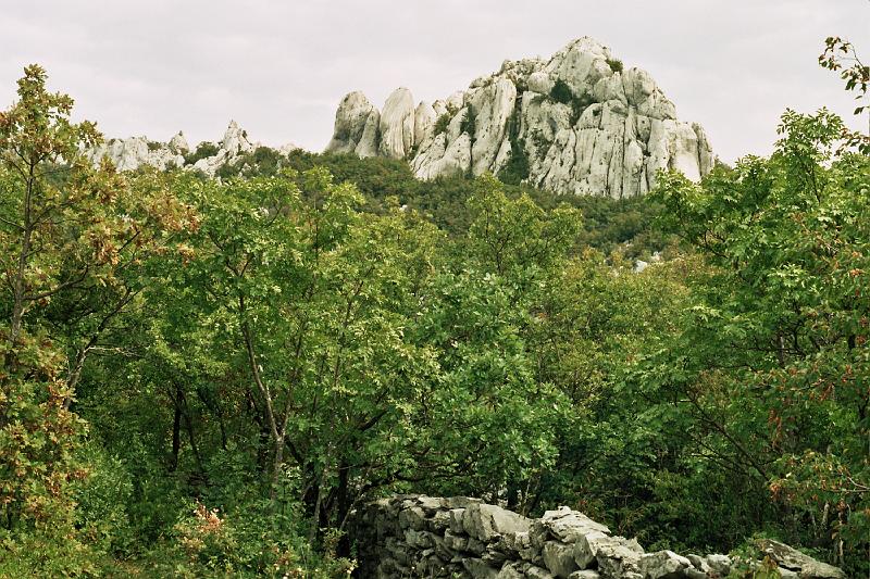 Original image